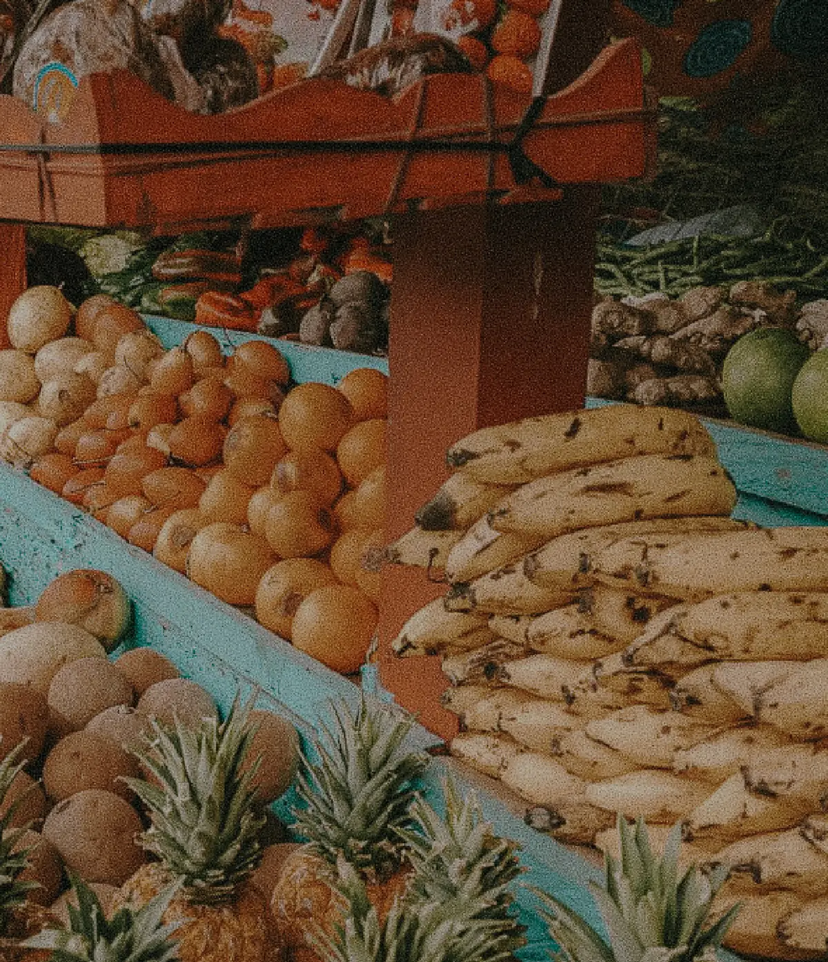 Puesto de mercado con piñas, cocos, naranjas y bananos.