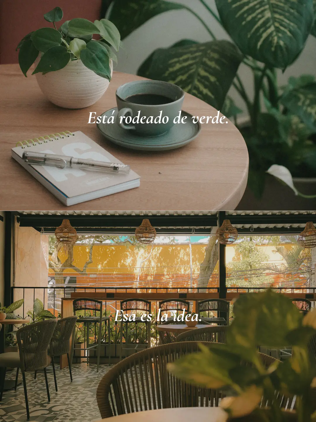 Publicación de Bruma Verde en dos fotos: café y libreta entre plantas con el texto «Está rodeado de verde», y la terraza con «Esa es la idea».